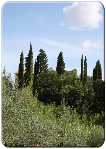 comunità roveto ardente sarzana comunità roveto ardente sarzana